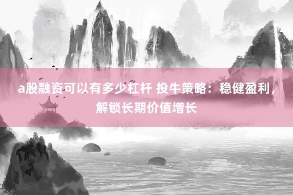 a股融资可以有多少杠杆 投牛策略：稳健盈利，解锁长期价值增长
