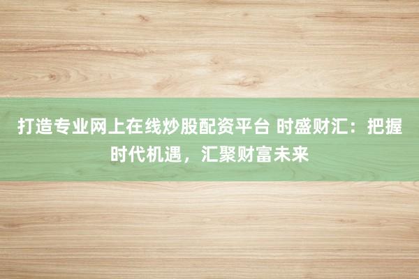 打造专业网上在线炒股配资平台 时盛财汇：把握时代机遇，汇聚财富未来