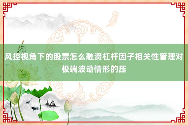 风控视角下的股票怎么融资杠杆因子相关性管理对极端波动情形的压