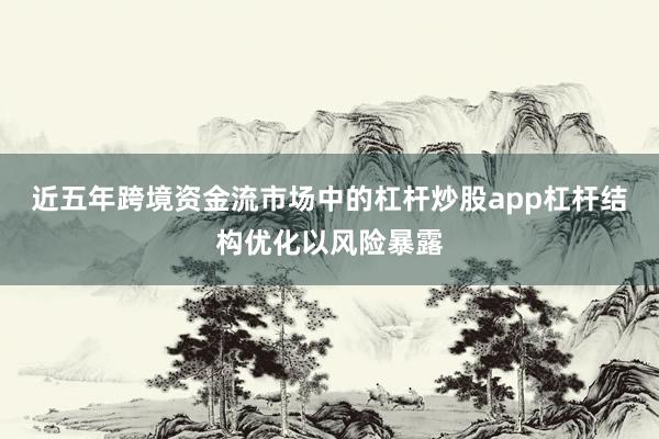 近五年跨境资金流市场中的杠杆炒股app杠杆结构优化以风险暴露
