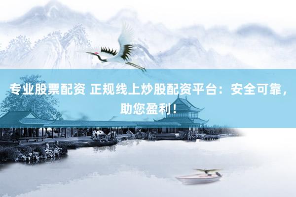 专业股票配资 正规线上炒股配资平台：安全可靠，助您盈利！